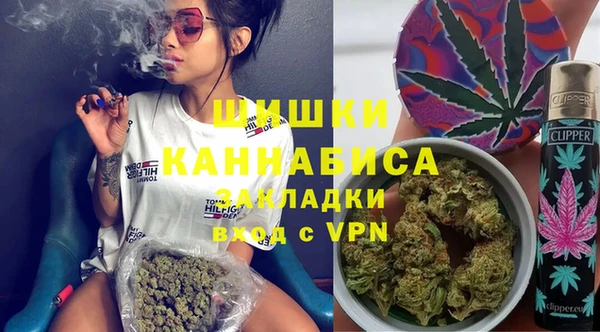 дживик Алексин