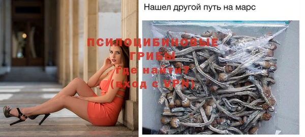 крисы Алексеевка