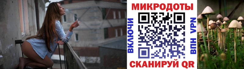 Галлюциногенные грибы Cubensis  Североморск 