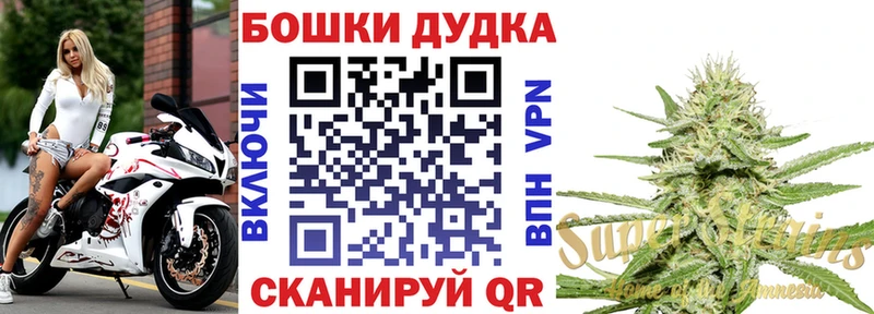Бошки Шишки VHQ  закладка  Североморск 